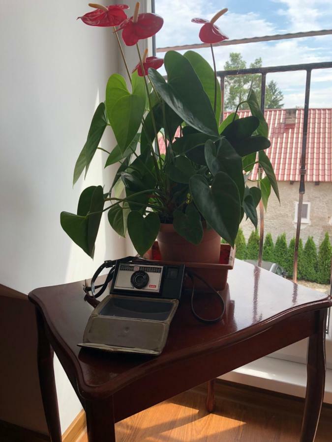 Vila Maria Rapovce מראה חיצוני תמונה